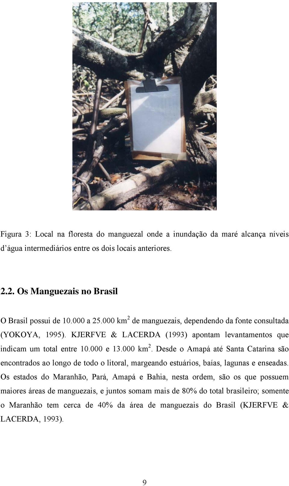 Os estados do Maranhão, Pará, Amapá e Bahia, nesta ordem, são os que possuem maiores áreas de manguezais, e juntos somam mais de 80% do total brasileiro; somente o Maranhão tem cerca