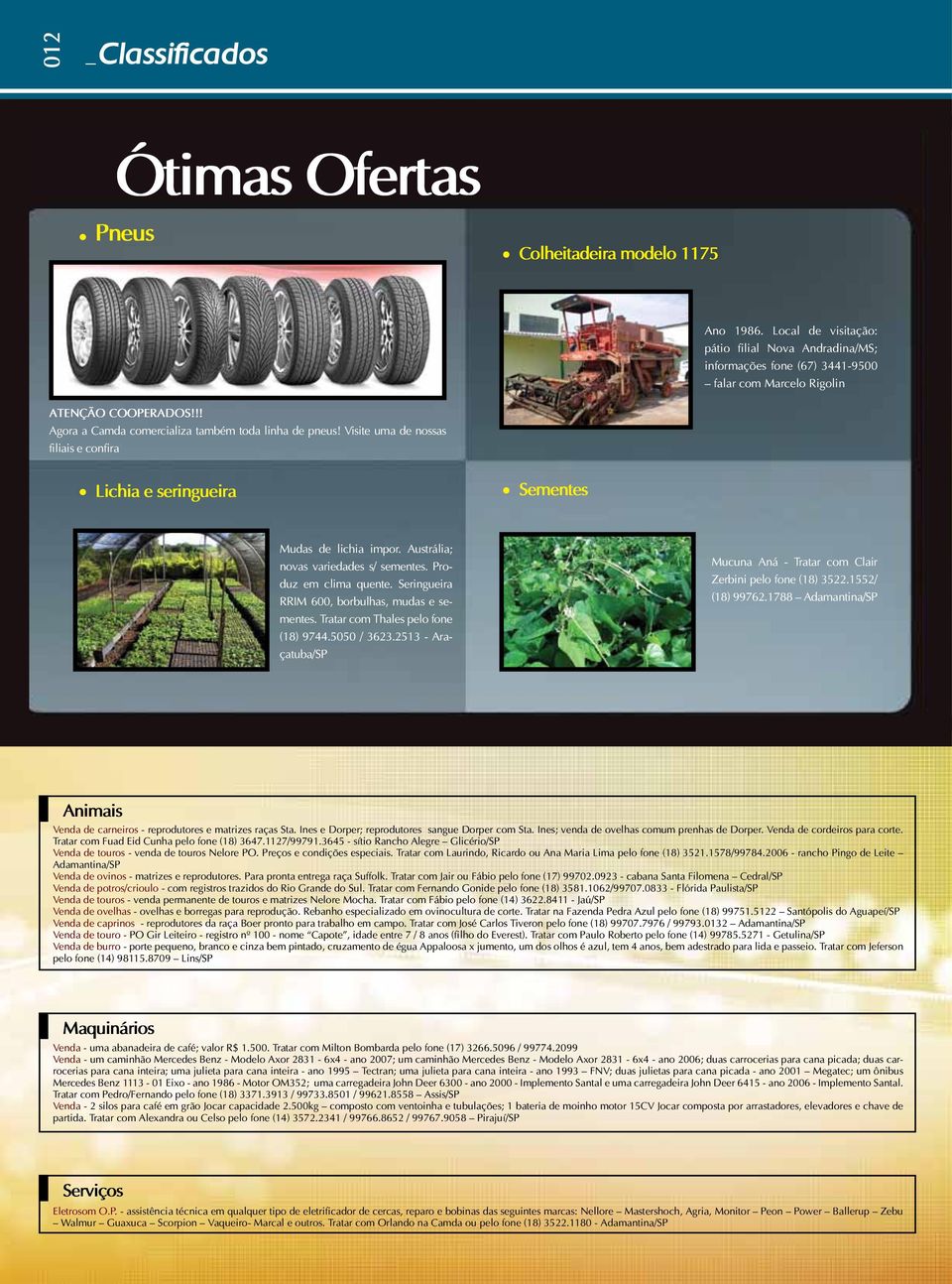 Visite uma de nossas filiais e confira Lichia e seringueira Sementes Mudas de lichia impor. Austrália; novas variedades s/ sementes. Produz em clima quente.