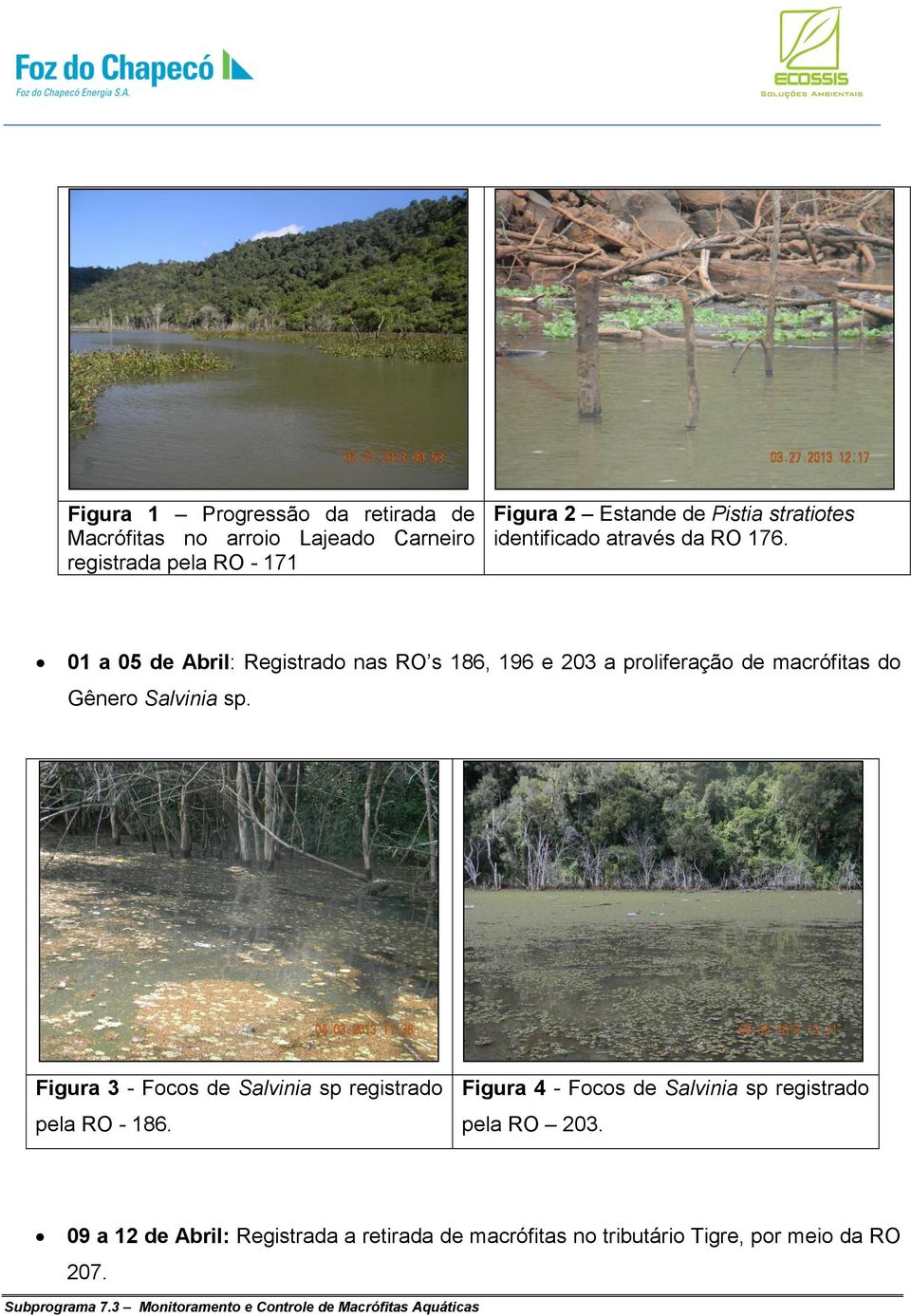 01 a 05 de Abril: Registrado nas RO s 186, 196 e 203 a proliferação de macrófitas do Gênero Salvinia sp.