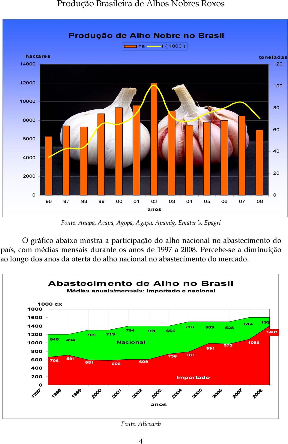 Percebe-se a diminuição ao longo dos anos da oferta do alho nacional no abastecimento do mercado.