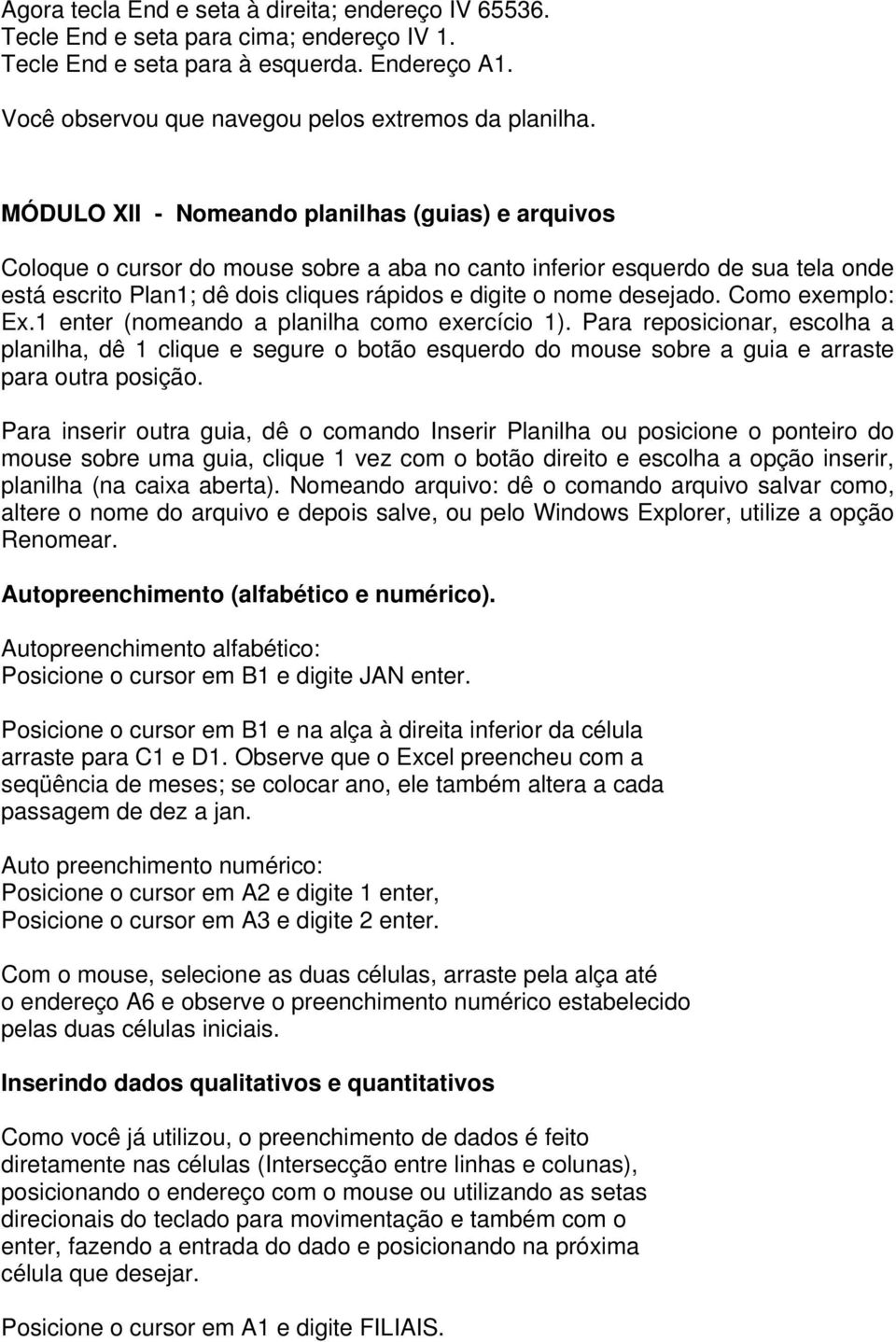 desejado. Como exemplo: Ex.1 enter (nomeando a planilha como exercício 1).