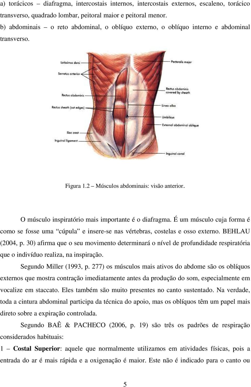 É um músculo cuja forma é como se fosse uma cúpula e insere-se nas vértebras, costelas e osso externo. BEHLAU (2004, p.