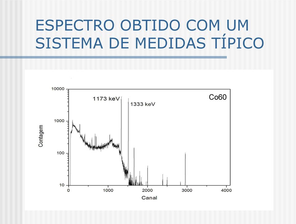 SISTEMA DE