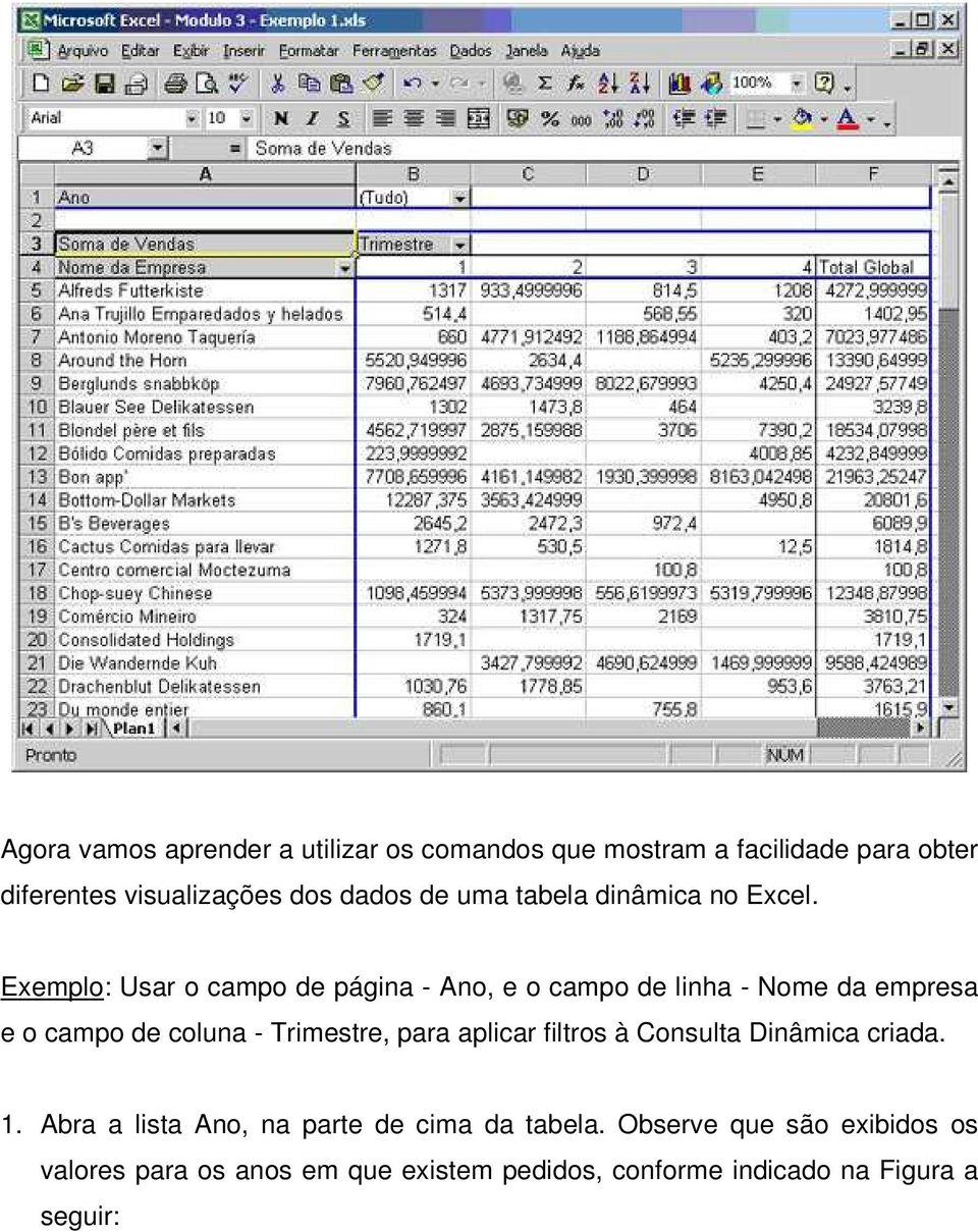 Exemplo: Usar o campo de página - Ano, e o campo de linha - Nome da empresa e o campo de coluna - Trimestre, para