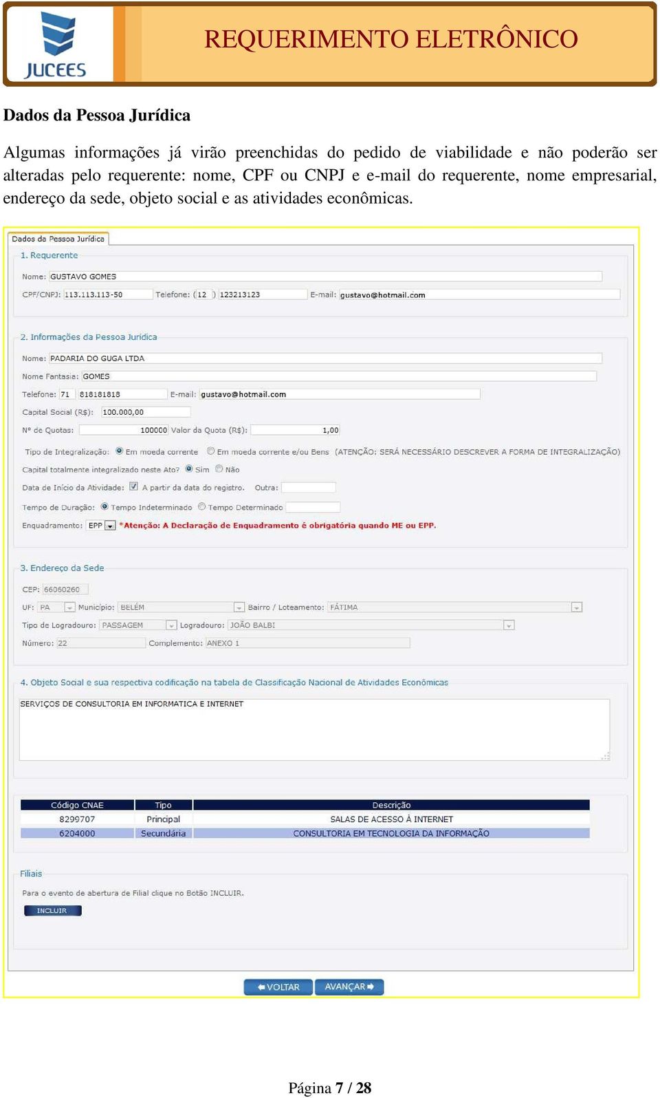 requerente: nome, CPF ou CNPJ e e-mail do requerente, nome