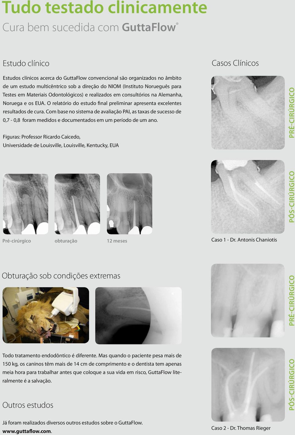 O relatório do estudo final preliminar apresenta excelentes resultados de cura.