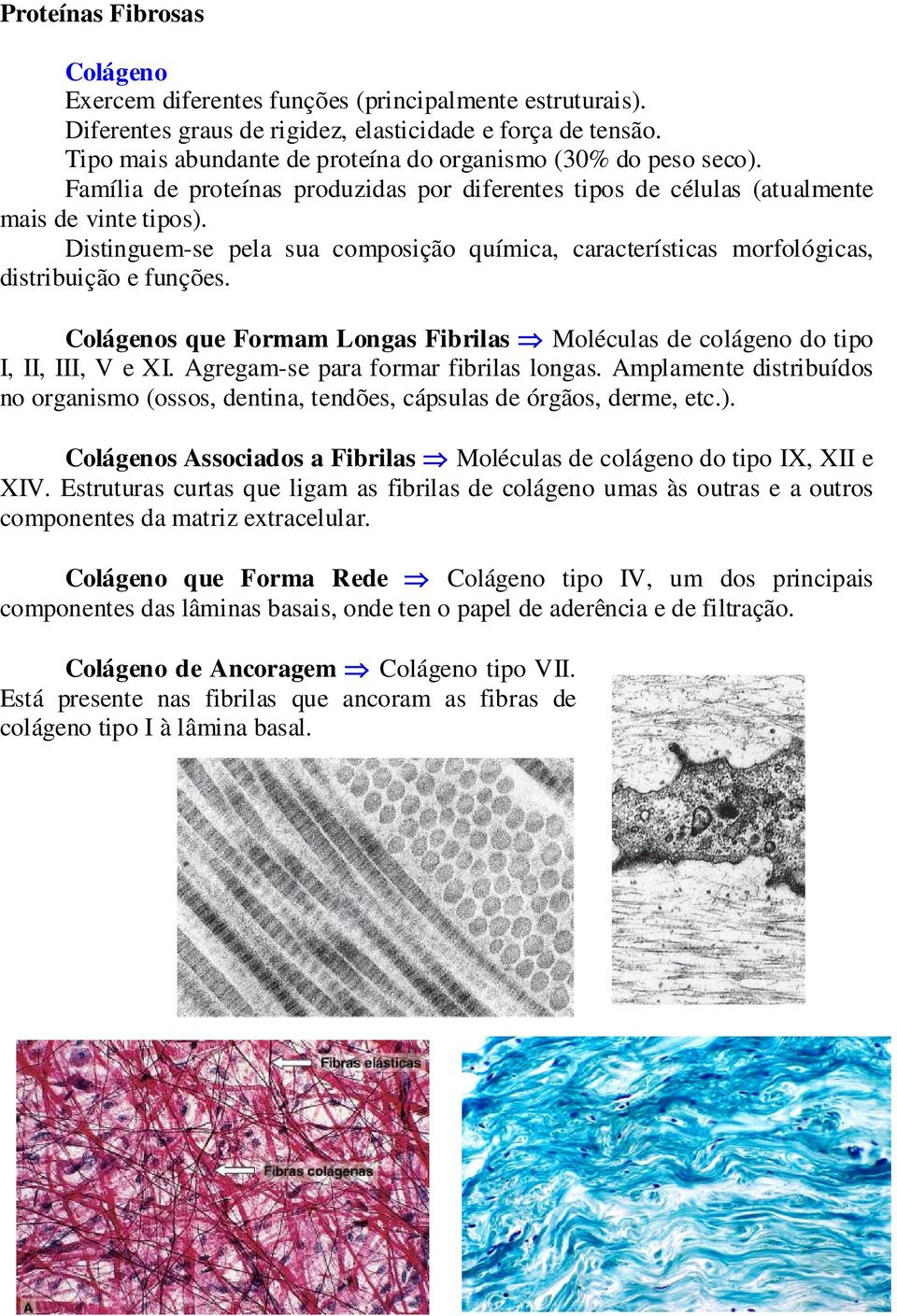 Distinguem-se pela sua composição química, características morfológicas, distribuição e funções. Colágenos que Formam Longas Fibrilas Moléculas de colágeno do tipo I, II, III, V e XI.