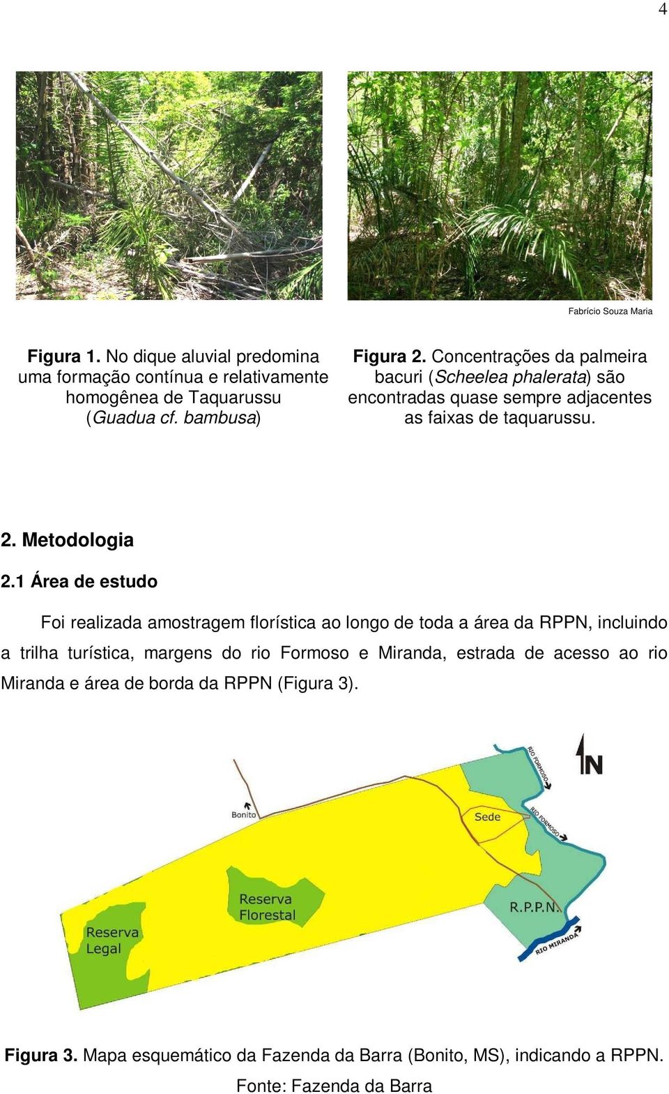 1 Área de estudo Foi realizada amostragem florística ao longo de toda a área da RPPN, incluindo a trilha turística, margens do rio Formoso e Miranda,