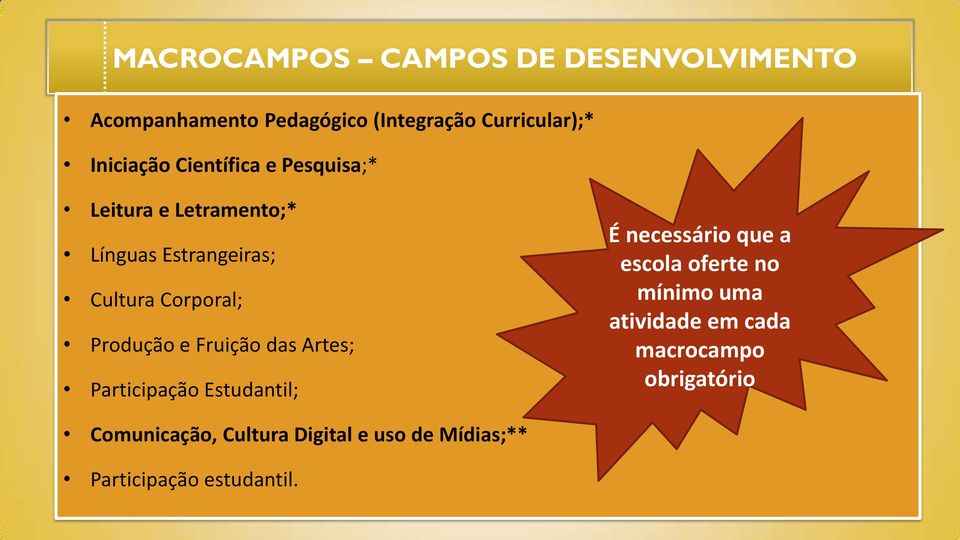 Fruição das Artes; Participação Estudantil; É necessário que a escola oferte no mínimo uma atividade