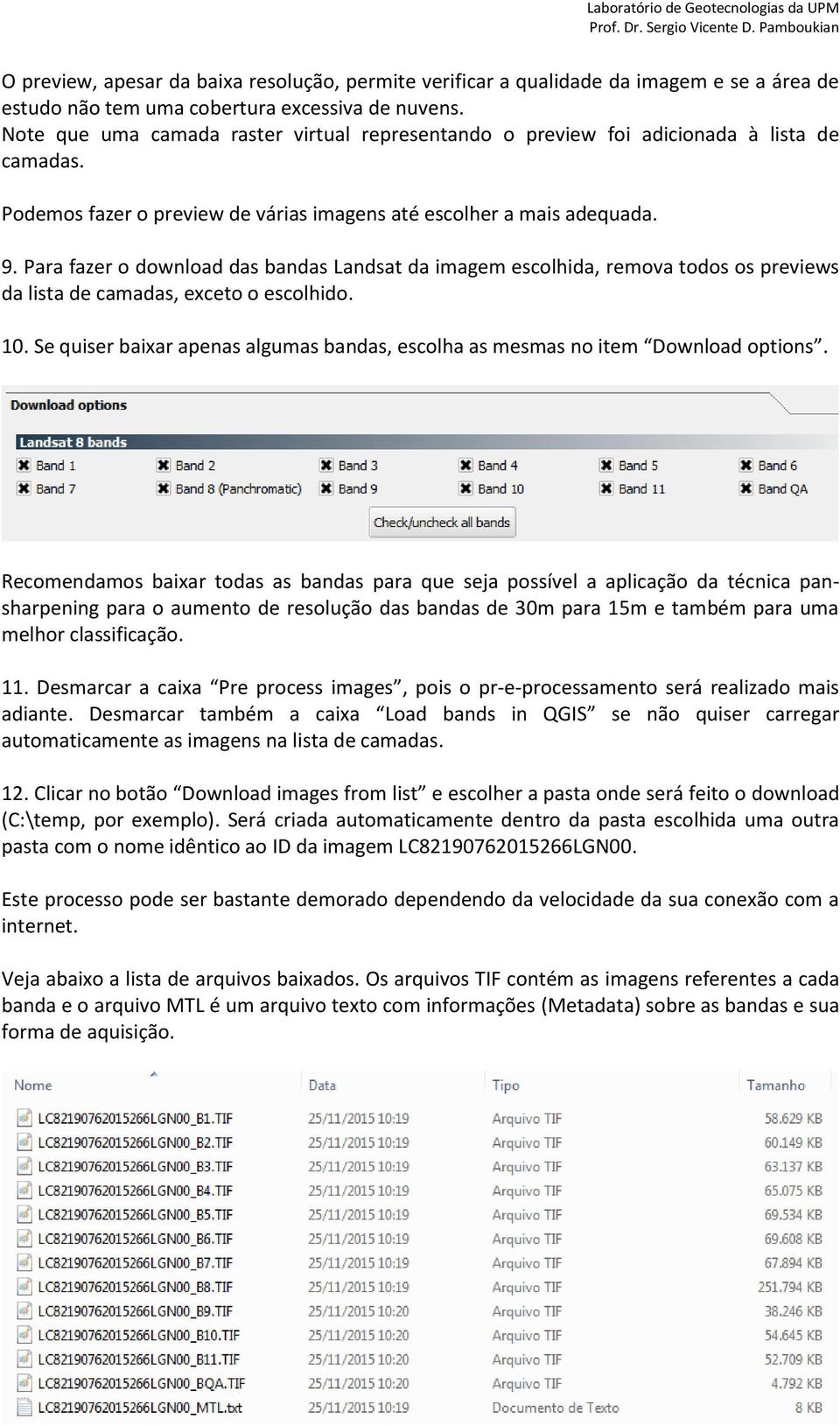 Para fazer o download das bandas Landsat da imagem escolhida, remova todos os previews da lista de camadas, exceto o escolhido. 10.