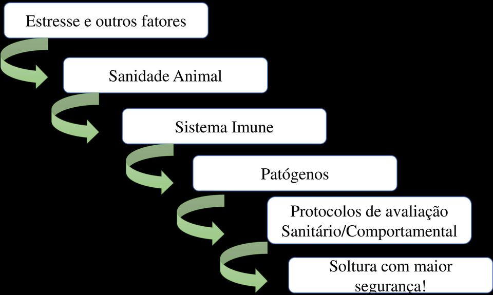 Protocolos de avaliação