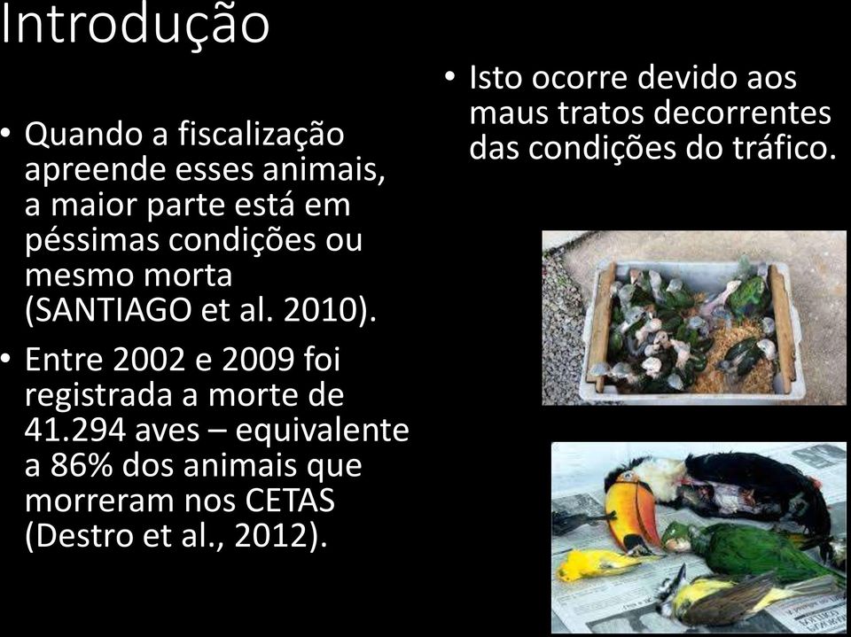 Entre 2002 e 2009 foi registrada a morte de 41.