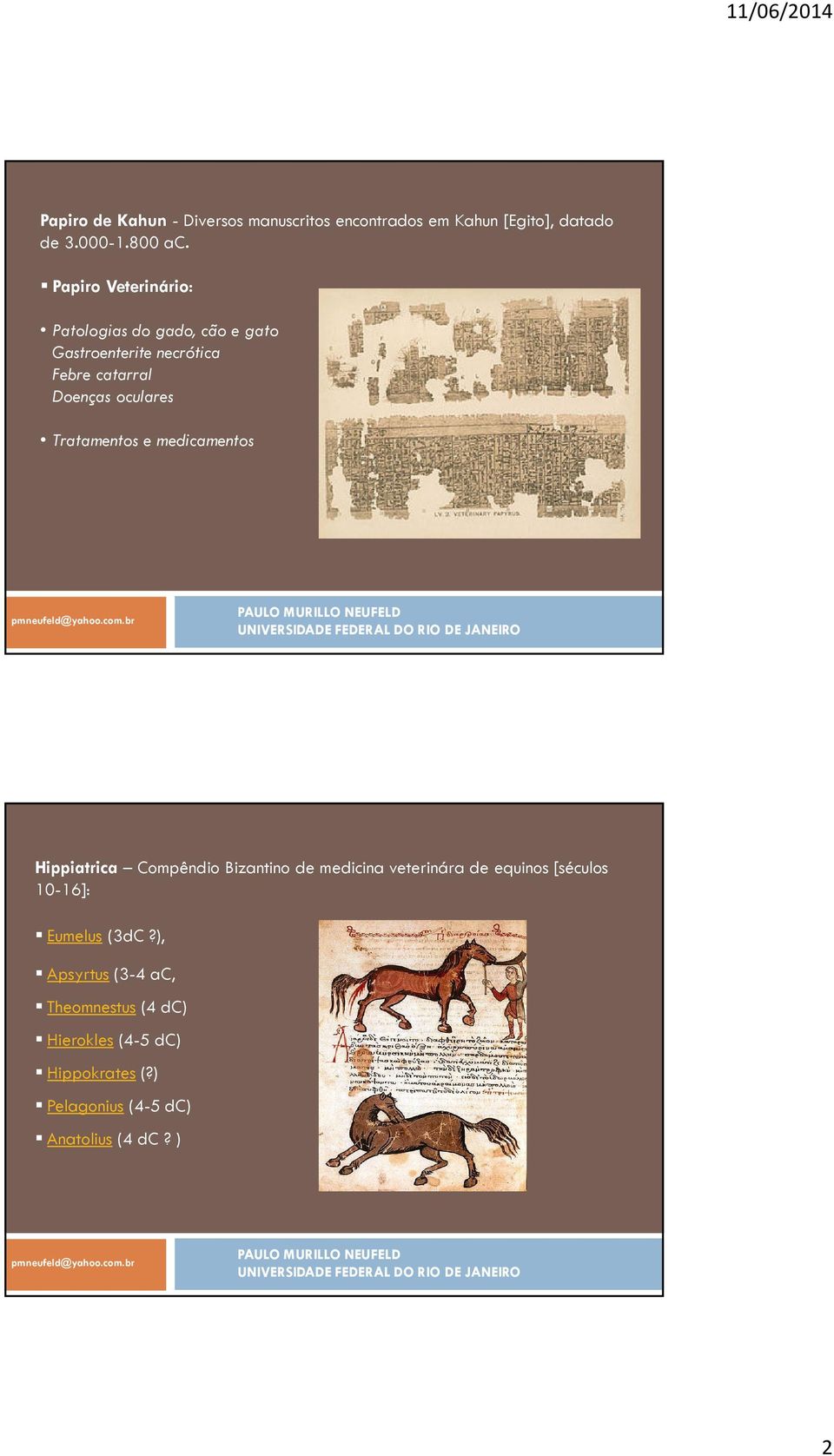 Tratamentos e medicamentos Hippiatrica Compêndio Bizantino de medicina veterinára de equinos [séculos 10-16]:
