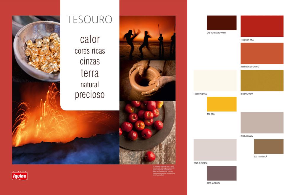 impressão sobre o papel, as cores deste catálogo podem apresentar ligeiras variações de tonalidades em