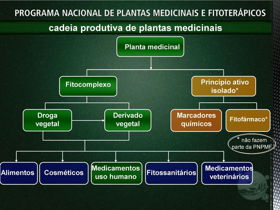 vegetal Marcadores químicos Fitofármaco* * não fazem parte da PNPMF