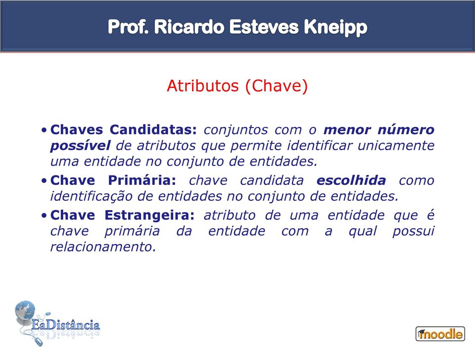 Chave Primária: chave candidata escolhida como identificação de entidades no conjunto de