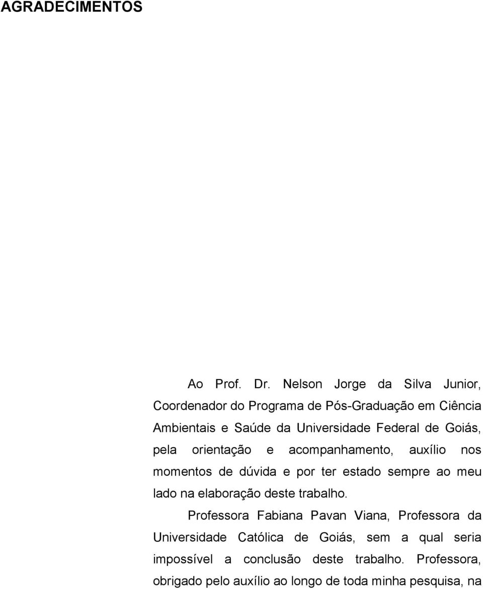 de Goiás, pela orientação e acompanhamento, auxílio nos momentos de dúvida e por ter estado sempre ao meu lado na elaboração