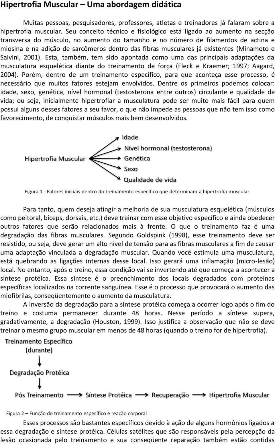 fibras musculares já existentes (Minamoto e Salvini, 2001).