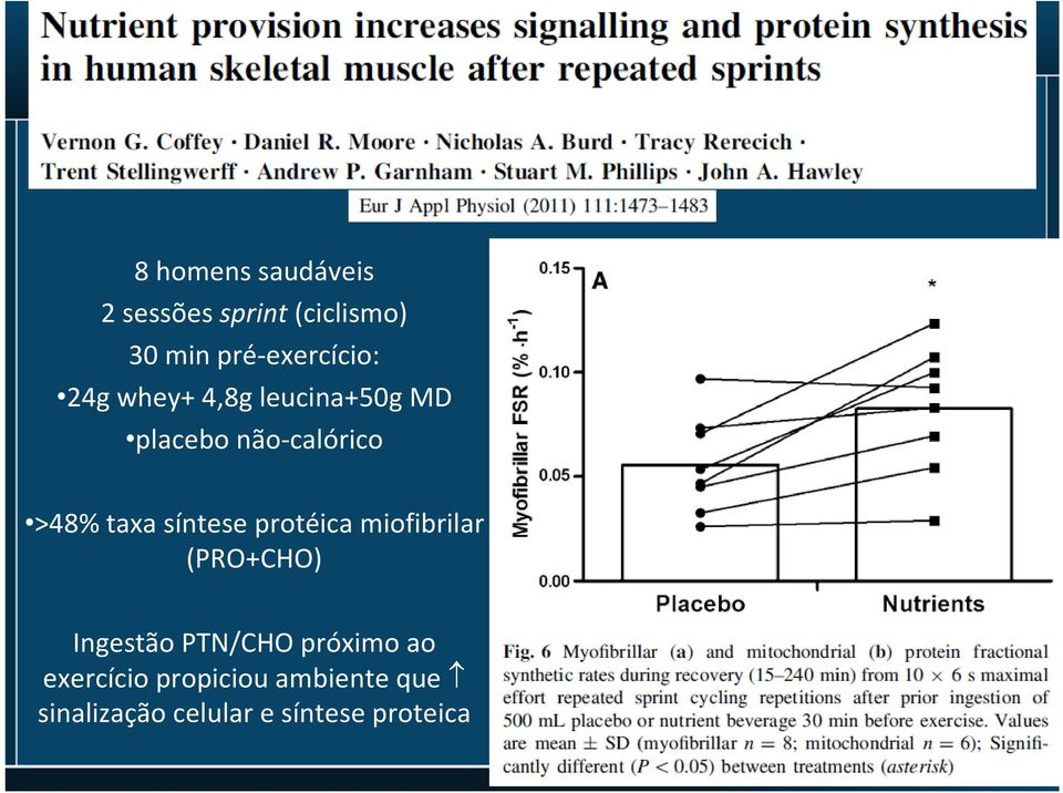 taxa síntese protéica miofibrilar (PRO+CHO) Ingestão PTN/CHO