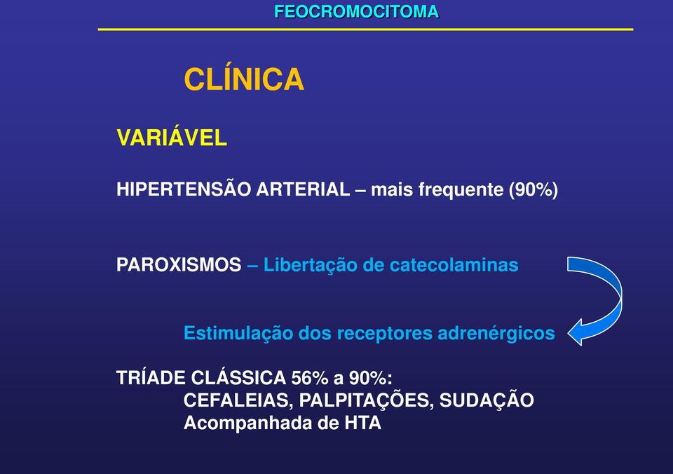 Estimulação dos receptores adrenérgicos TRÍADE