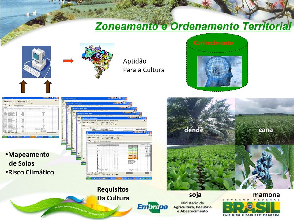 dendê cana Mapeamento de Solos Risco