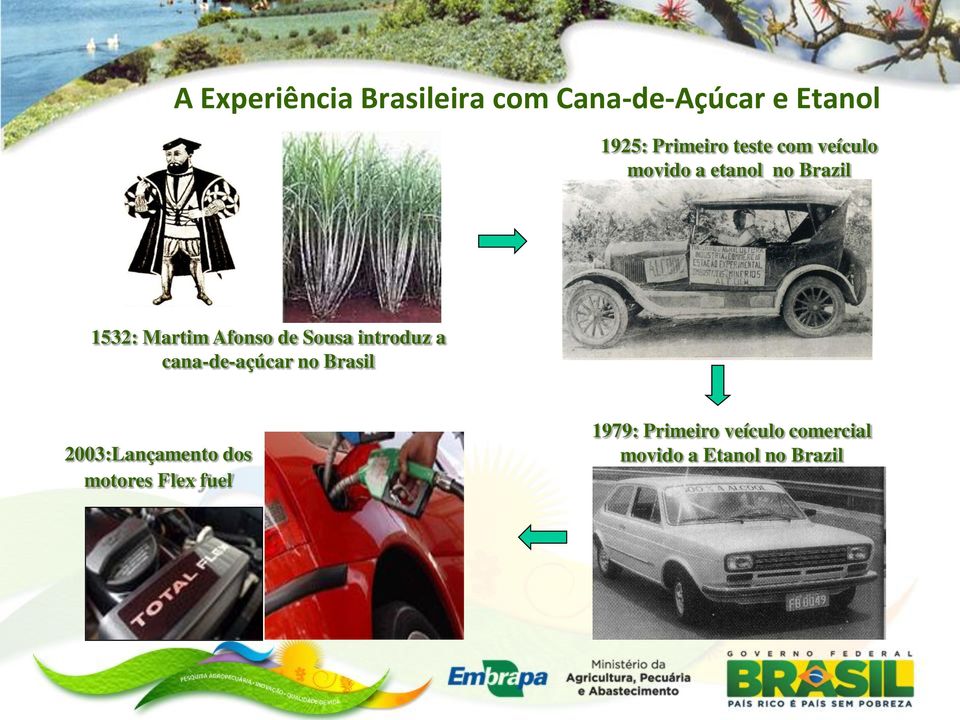 Sousa introduz a cana-de-açúcar no Brasil 2003:Lançamento dos