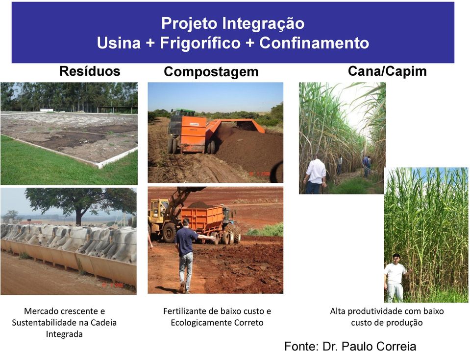 Cadeia Integrada Fertilizante de baixo custo e Ecologicamente