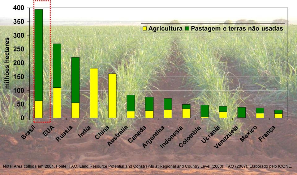 Ucrania Venezuela Mexico França Nota: Area colhida em 2004.