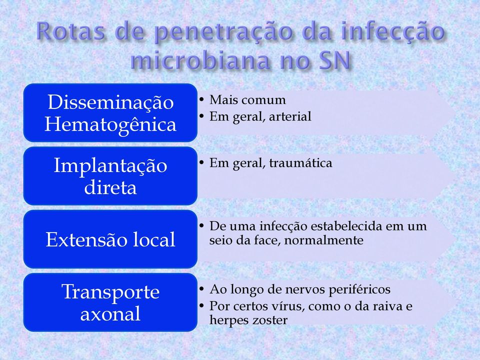 estabelecida em um seio da face, normalmente Transporte axonal Ao