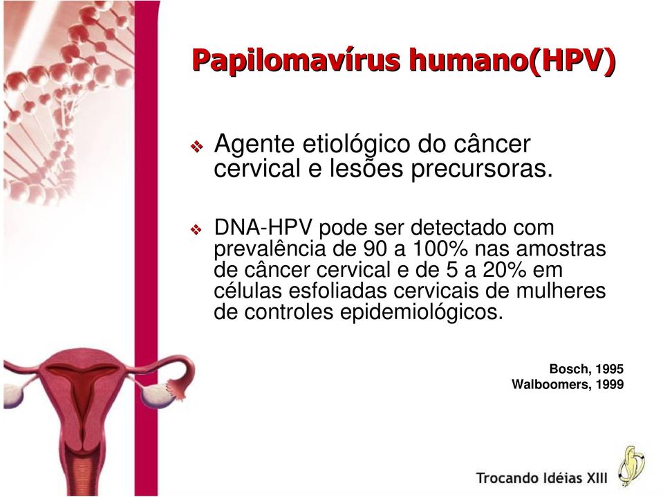 DNA-HPV pode ser detectado com prevalência de 90 a 100% nas amostras de