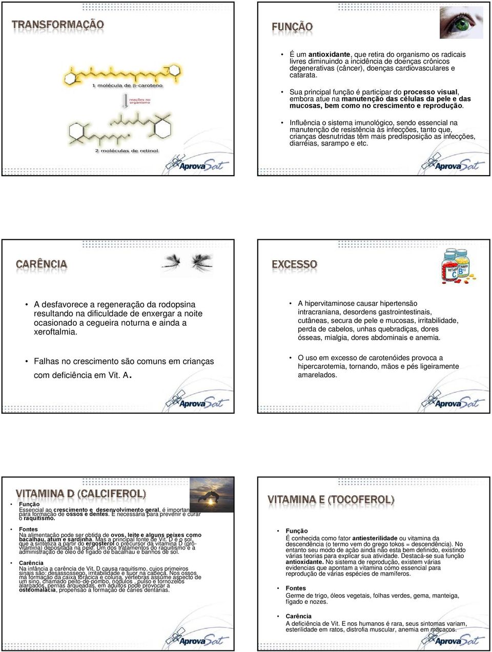 Influência o sistema imunológico, sendo essencial na manutenção de resistência às infecções, tanto que, crianças desnutridas têm mais predisposição as infecções, diarréias, sarampo e etc.