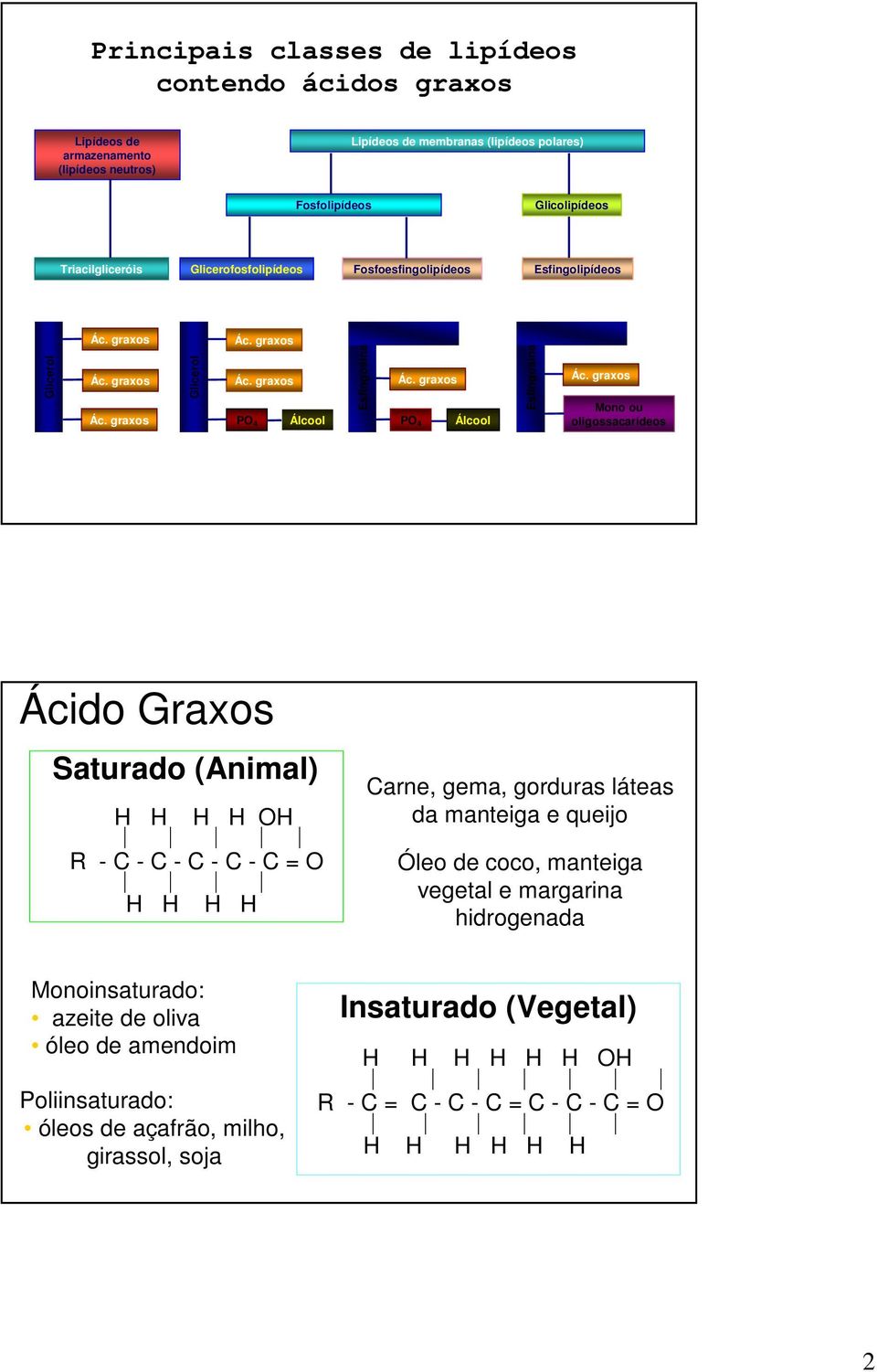 graxos PO4 Álcool Esfingosina Ác.