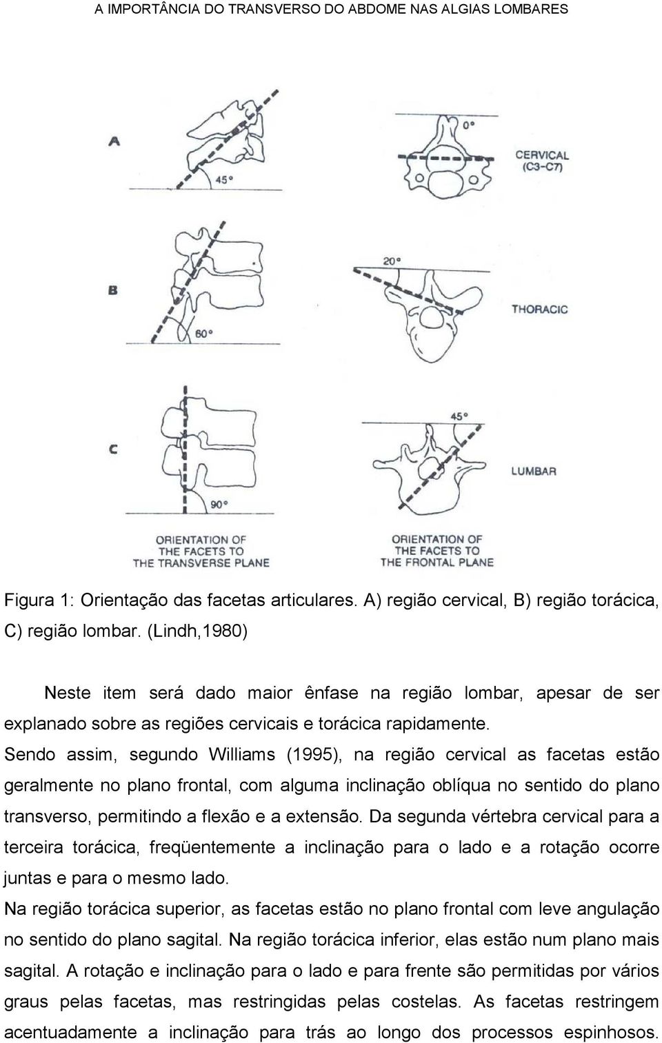 Sendo assim, segundo Williams (1995), na região cervical as facetas estão geralmente no plano frontal, com alguma inclinação oblíqua no sentido do plano transverso, permitindo a flexão e a extensão.