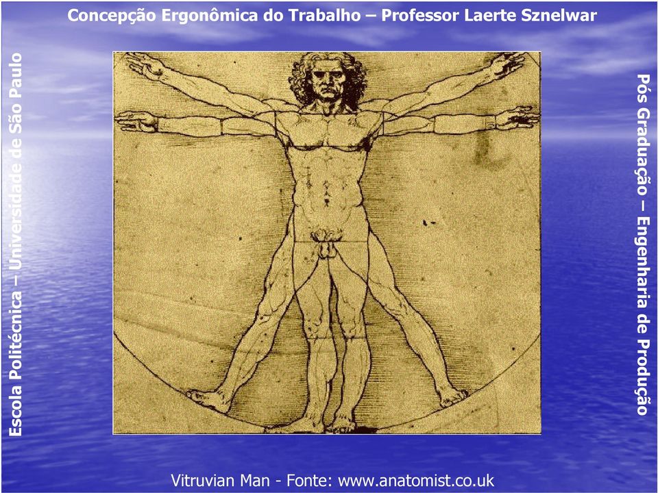 Sznelwar Vitruvian Man -