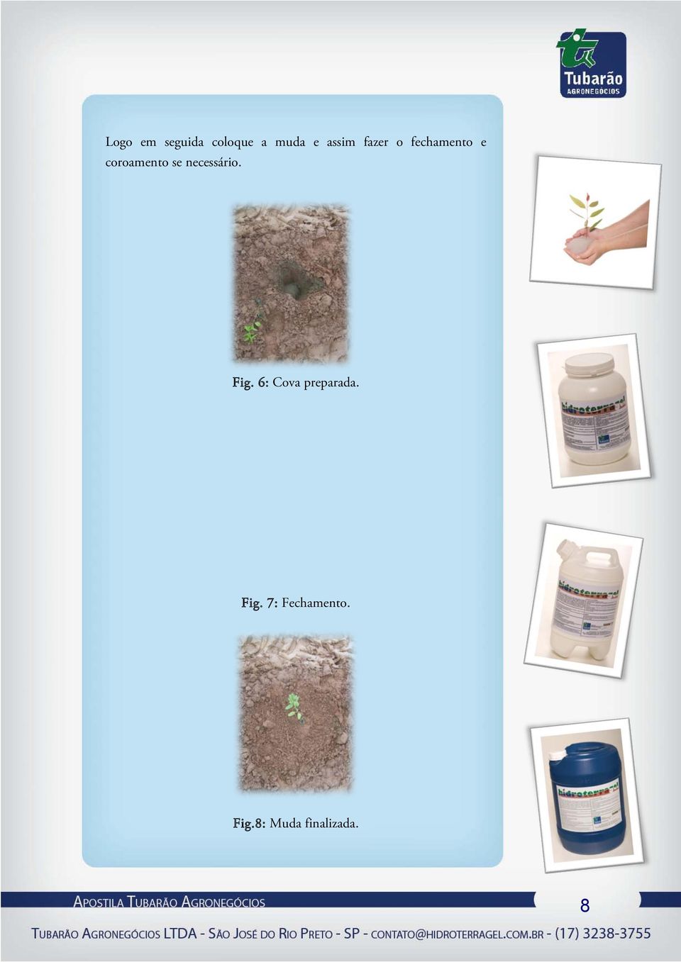 necessário. Fig. 6: Cova preparada.