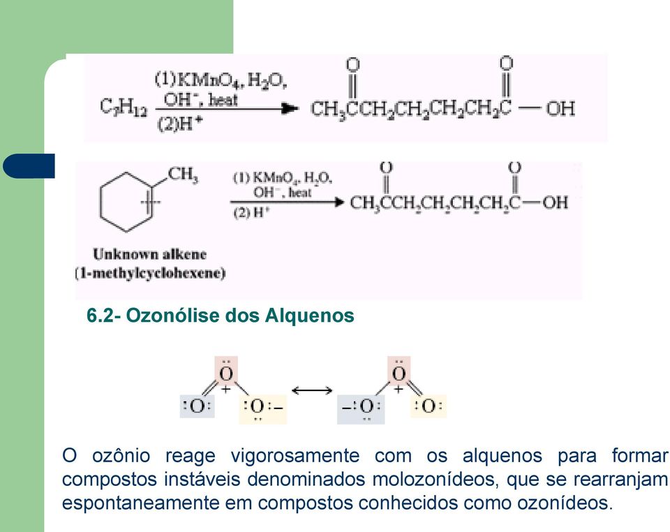 compostos instáveis denominados molozonídeos, que