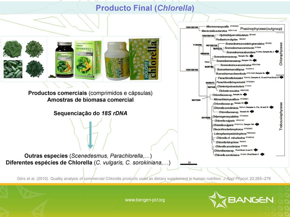 espécies de Chlorella (C. vulgaris, C. sorokiniana, ) Görs et al. (2010).