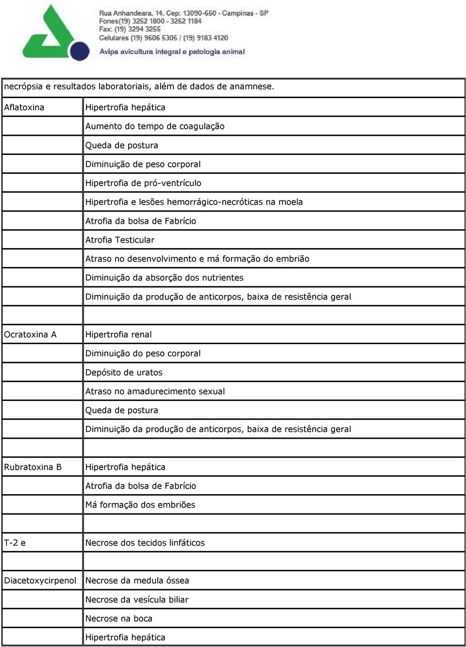 Atrofia Testicular Atraso no desenvolvimento e má formação do embrião Diminuição da absorção dos nutrientes Diminuição da produção de anticorpos, baixa de resistência geral Ocratoxina A Diminuição do