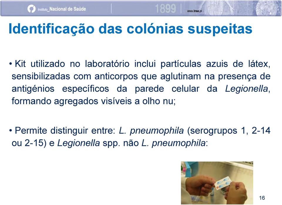 específicos da parede celular da Legionella, formando agregados visíveis a olho nu;