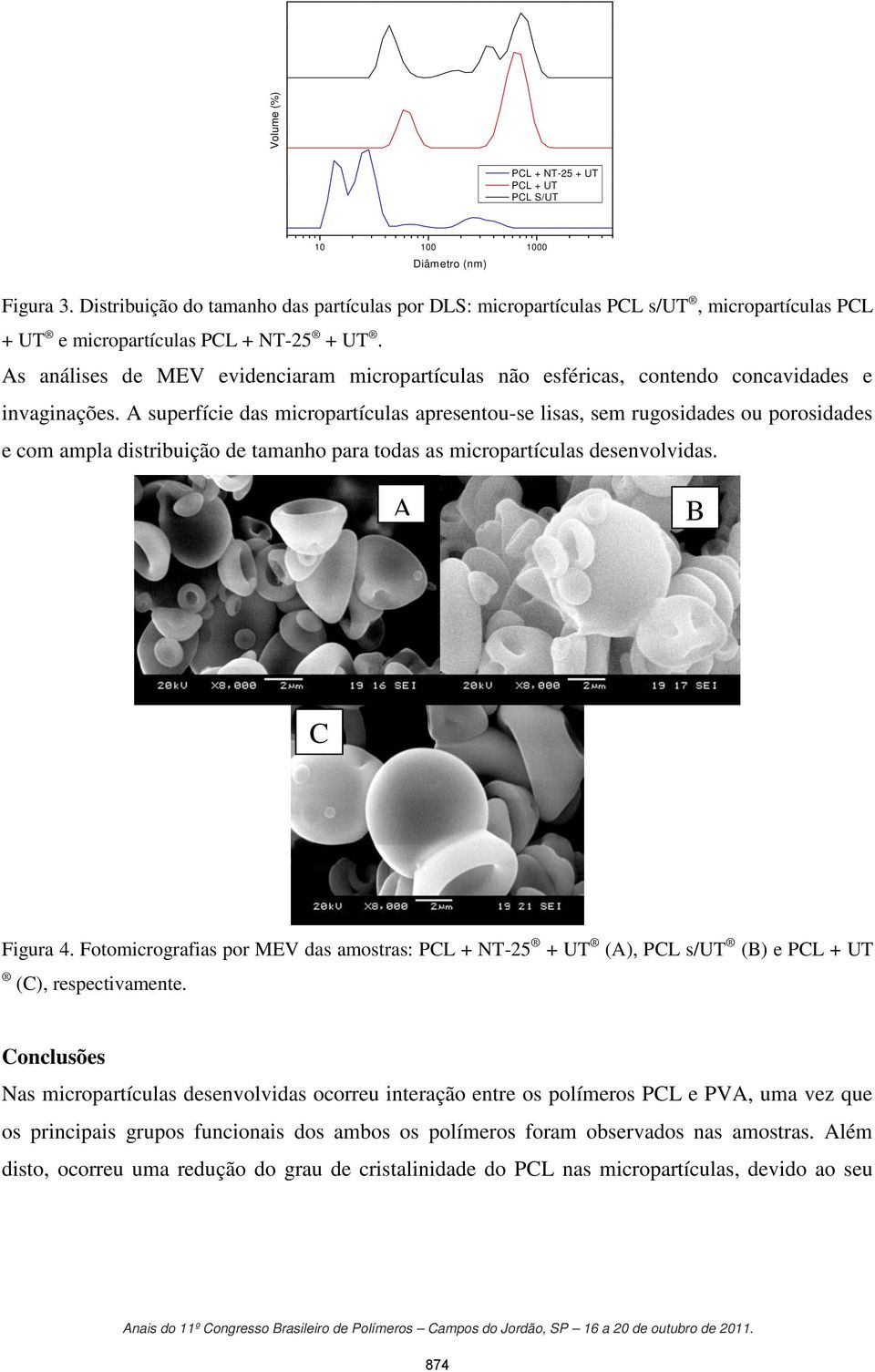 As análises de MEV evidenciaram micropartículas não esféricas, contendo concavidades e invaginações.