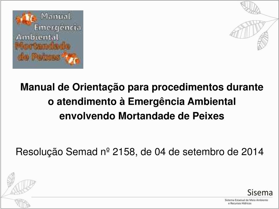 Ambiental envolvendo Mortandade de Peixes