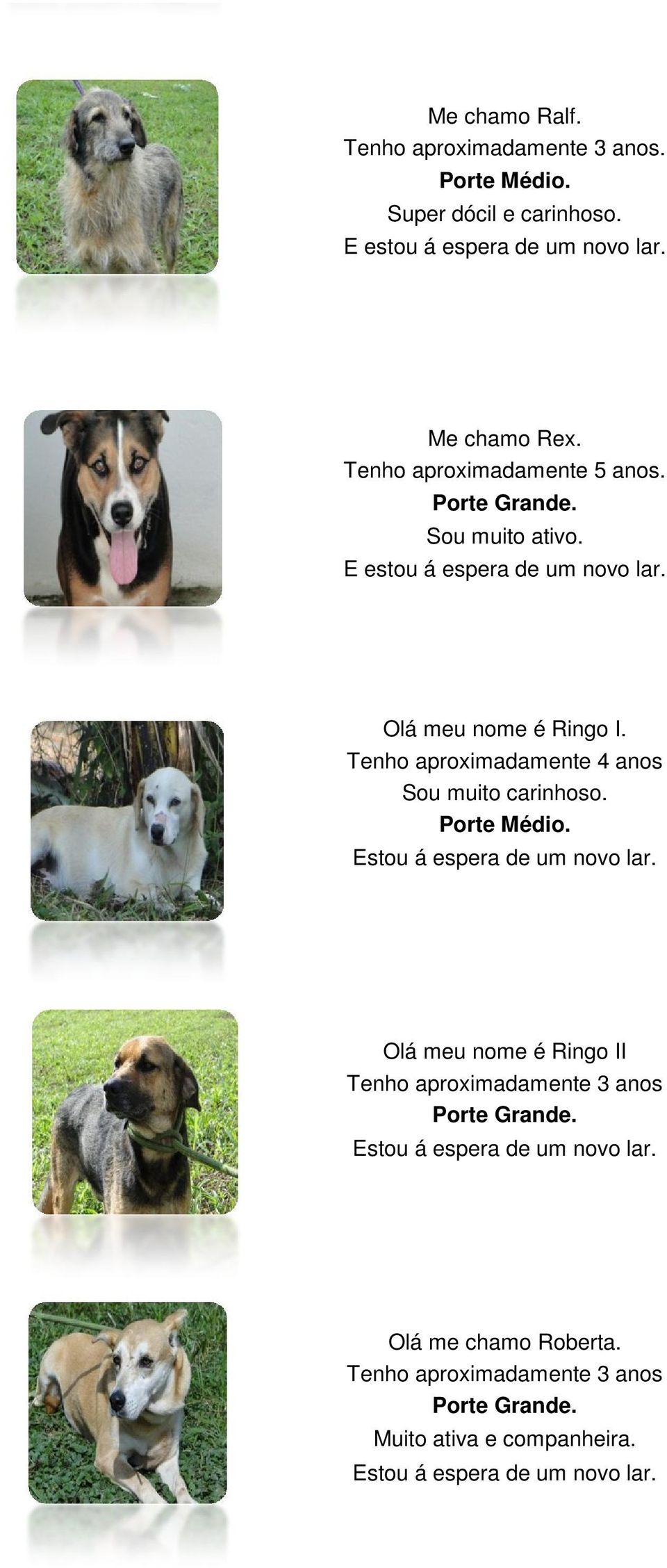 Tenho aproximadamente 4 anos Sou muito carinhoso. Porte Médio. Estou á espera de um novo lar.