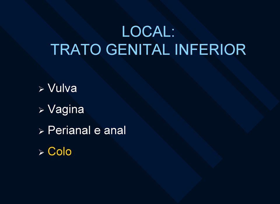 INFERIOR Vulva