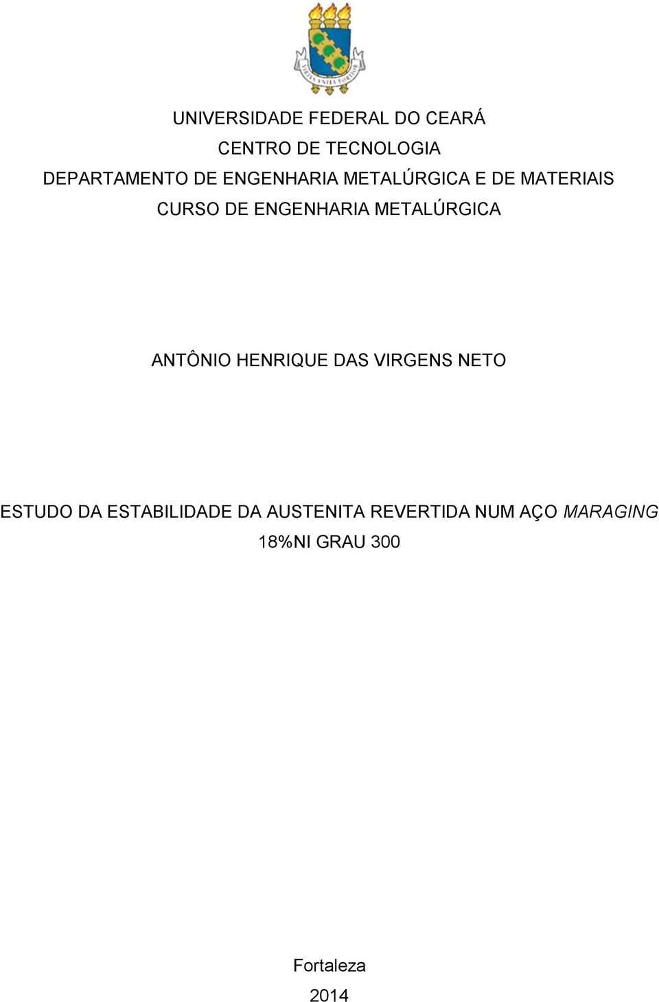 METALÚRGICA ANTÔNIO HENRIQUE DAS VIRGENS NETO ESTUDO DA