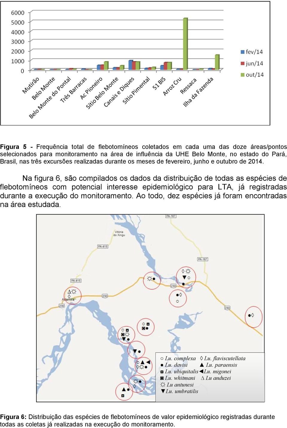 Na figura 6, são compilados os dados da distribuição de todas as espécies de flebotomíneos com potencial interesse epidemiológico para LTA, já registradas durante a execução do monitoramento.