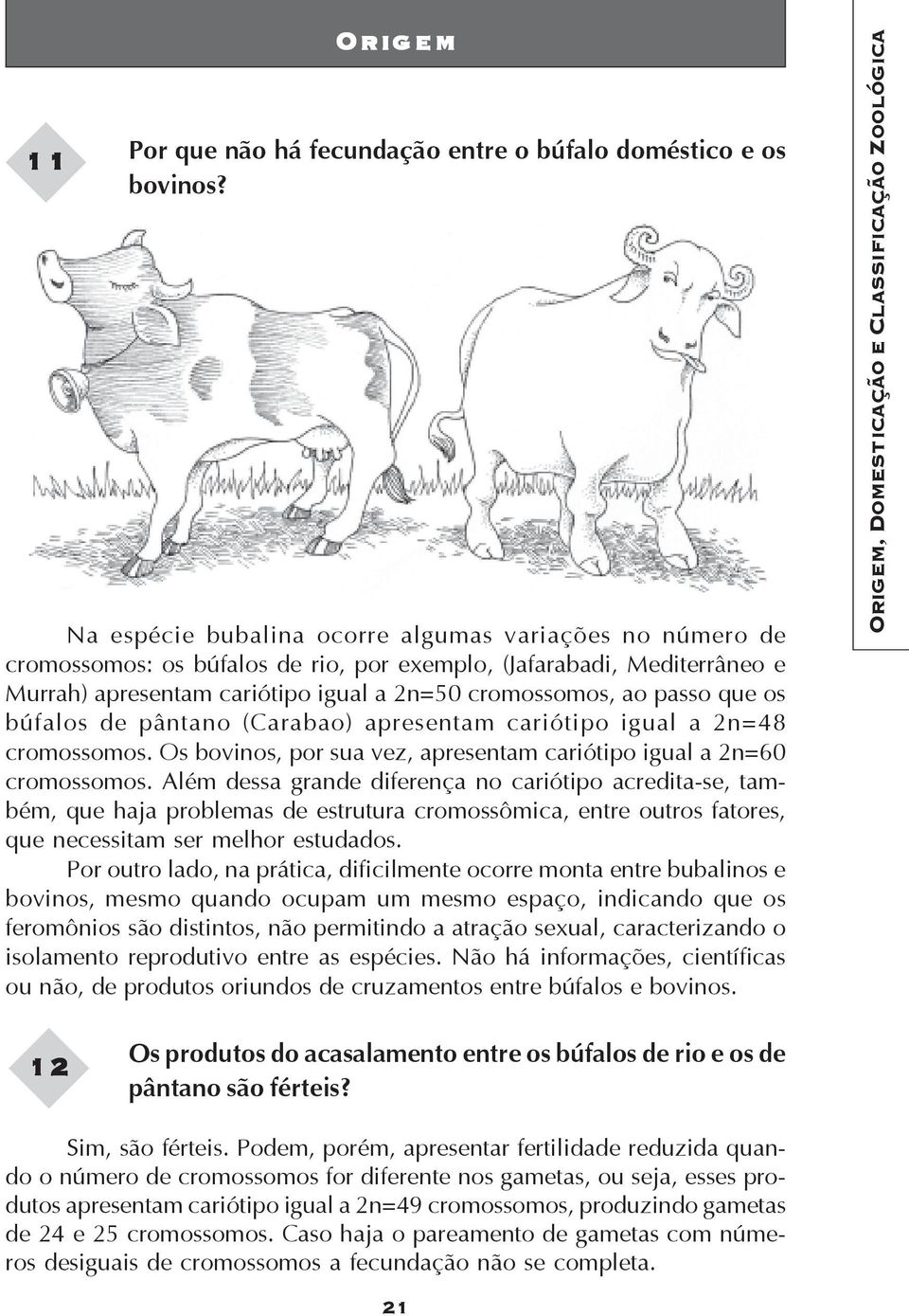 os búfalos de pântano (Carabao) apresentam cariótipo igual a 2n=48 cromossomos. Os bovinos, por sua vez, apresentam cariótipo igual a 2n=60 cromossomos.