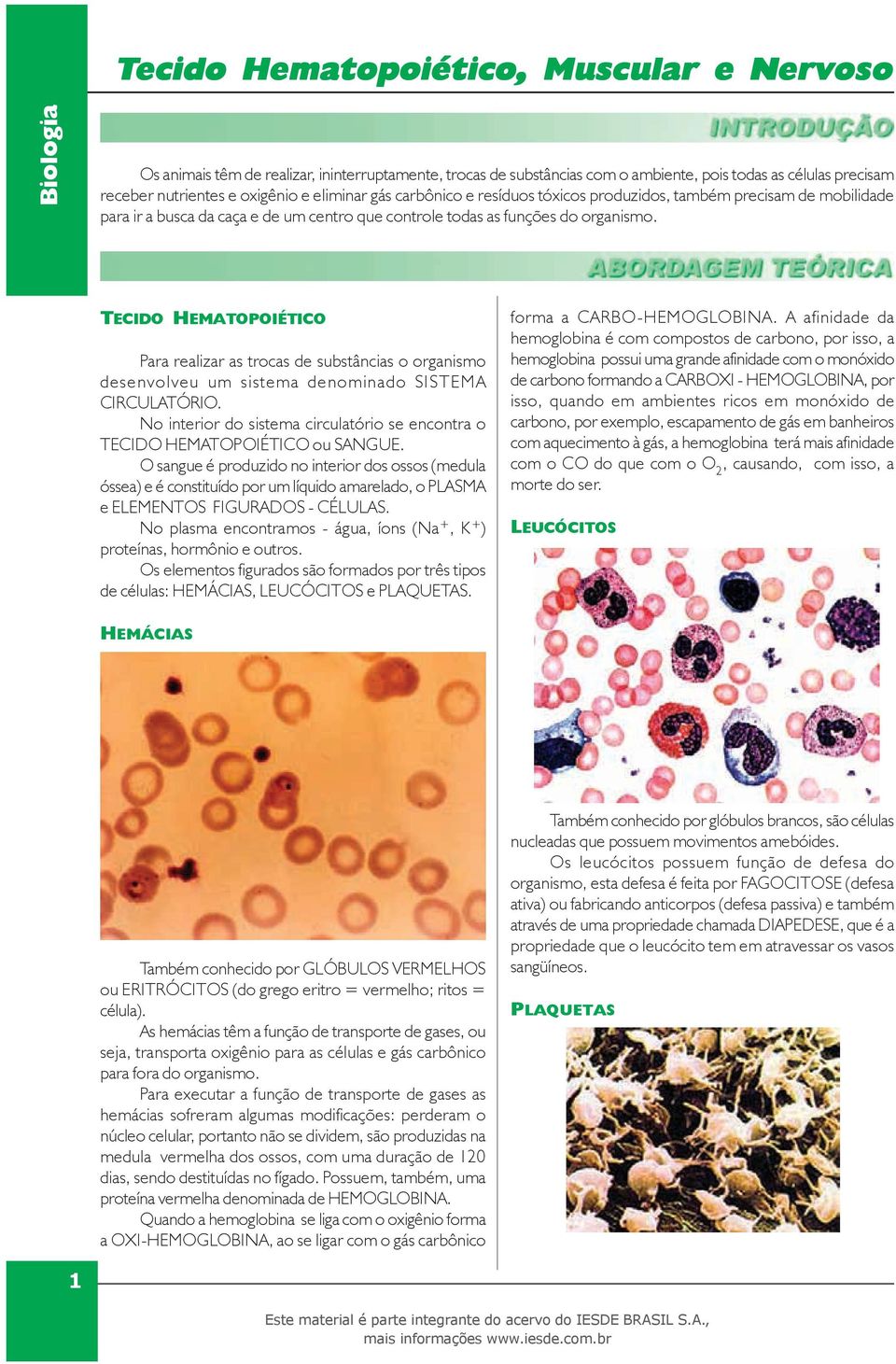 funções do organismo. TECIDO HEMATOPOIÉTICO Para realizar as trocas de substâncias o organismo desenvolveu um sistema denominado SISTEMA CIRCULATÓRIO.