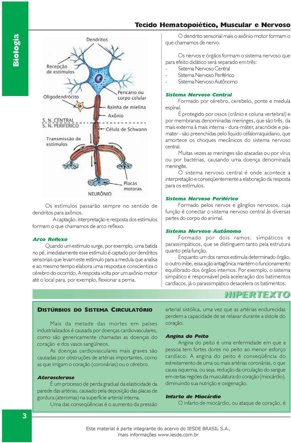 Formado por cérebro, cerebelo, ponte e medula espinal.