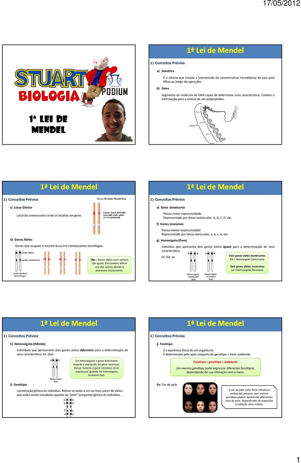 1ª LEI DE MENDEL 1) Conceitos Prévios c) Locus Gênico Local do cromossomo onde se localiza um gene. d) Genes Alelos Genes que ocupam o mesmo locus em cromossomos homólogos. Obs.