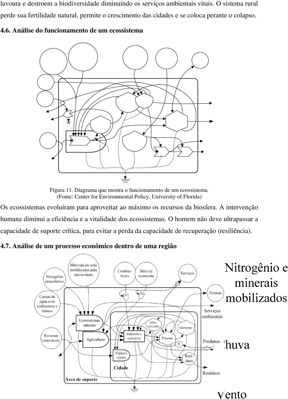 Diagrama que mostra o funcionamento de um ecossistema. (Fonte: Center for Environmental Policy.